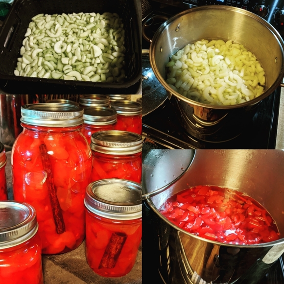Home Kitchen Other - Cinnamon pickles - Pint Jar